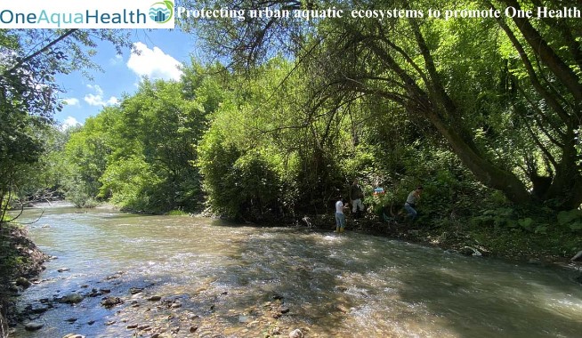 “OneAquaHealth – Protecting urban aquatic ecosystems to promote One Health”