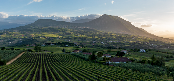 L’importanza di essere innovativi: Sannio e Valpolicella, due modelli a confronto”