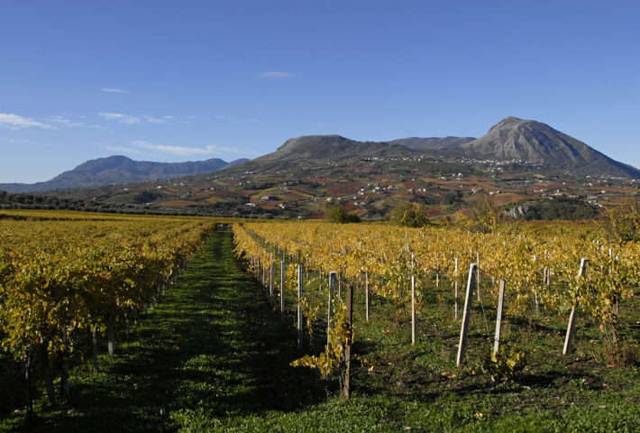 Sannio Top Wines 2025
