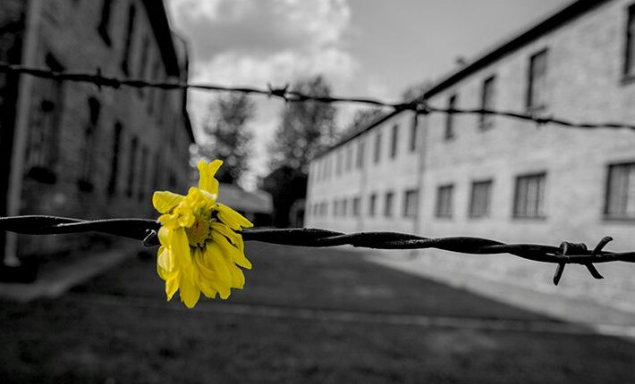 L’Istituto Alberti celebra la Giornata della Memoria