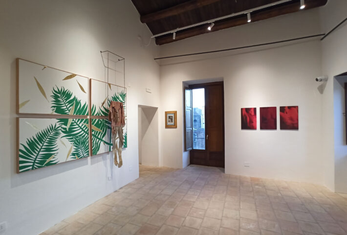 San Bartolomeo: un patrono da ritrovare